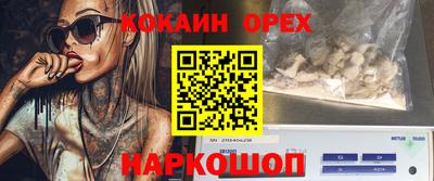 прущие крисы Будённовск